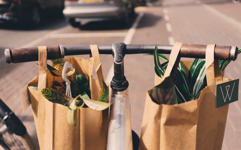 eco shopping eco shopping